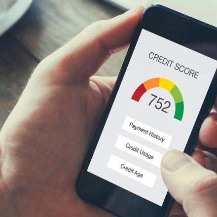 Person checking their credit score wondering how they work in New Zealand